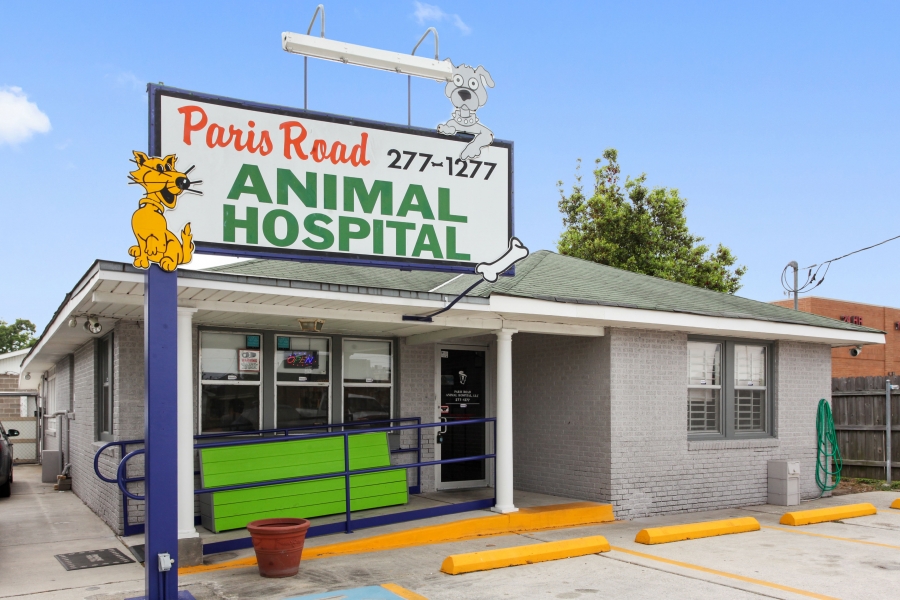 Chalmette, Louisiana 70043 Veterinarian - Paris Road Animal Hospital