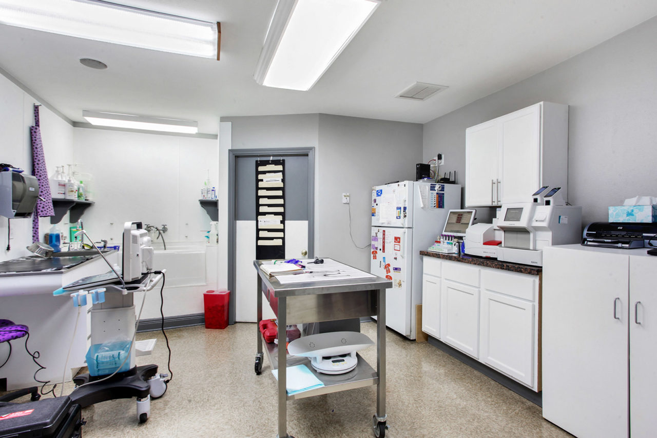 Chalmette, Louisiana 70043 Veterinarian Paris Road Animal Hospital